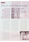 Zin en onzin bij de wade van Turijn